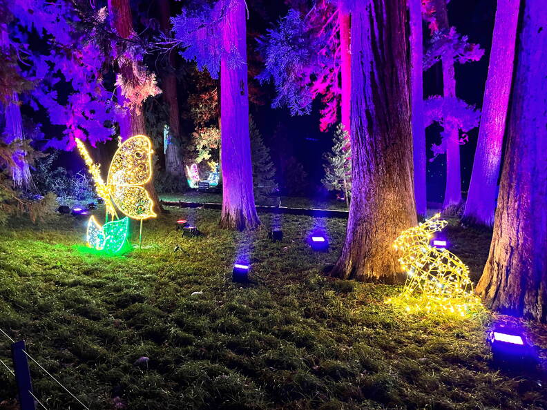 22-12-19 19-38-18 3671